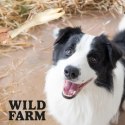 Wild Farm Racice Jagnięce 300g Przysmak Dla Psa