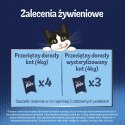 Felix Fantastic Mix Smaków W Galaretce Karma Dla Kota 44x85g