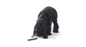JOHN DOG Paluchy z Dzika - przysmak dla psa - 50 g JOHN DOG