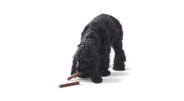 JOHN DOG Paluchy z Dzika - przysmak dla psa - 50 g JOHN DOG