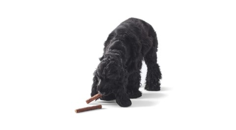 JOHN DOG Paluchy z Dzika - przysmak dla psa - 50 g JOHN DOG
