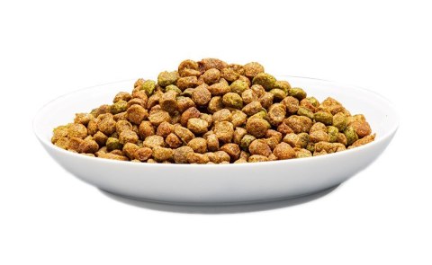 PREVITAL kurczak karma sucha karma kocięta 0,95kg PREVITAL