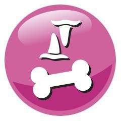 PREVITAL kurczak karma sucha karma kocięta 0,95kg PREVITAL