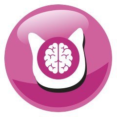 PREVITAL kurczak karma sucha karma kocięta 0,95kg PREVITAL