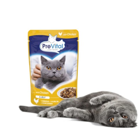 PREVITAL kurczak w galaretce dla kotów 100g PREVITAL