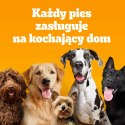 Pedigree Adult Professional Nutrition Drób Warzywa 12kg
