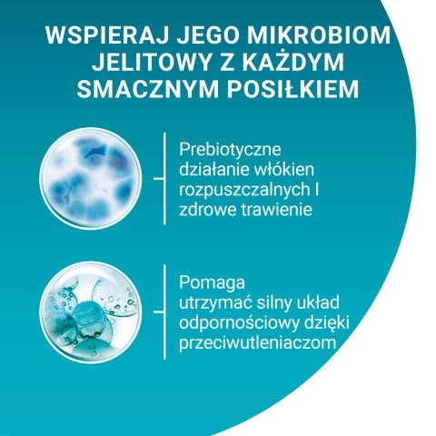 Purina One Junior Karma Dla Kociąt Z Łososiem I Marchewką 85g