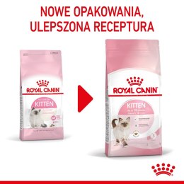 ROYAL CANIN FHN Kitten - sucha karma dla kociąt - 10kg Royal Canin