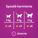 Whiskas Energia I Witalność Przysmak Dla Kota Z Kurczakiem 45g