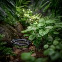 Terrario Premium Repti Cable 15W - wodoodporny kabel grzewczy do terrarium 5,5m
