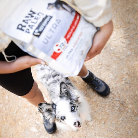 VetExpert Raw Paleo Ultra Wołowina Medium&Large Puppy 2kg VetExpert