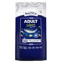 BALTICA EXCELLENT Adult Salmon Hypoallergenic L / XL 12kg BALTICA