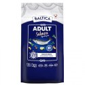BALTICA EXCELLENT Adult Salmon Hypoallergenic M 12kg BALTICA