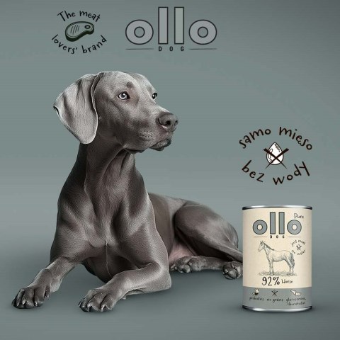 Ollo Pure Koń 400g OLLO