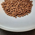 PUPIL Prime Mini bogata w wołowinę wątróbką 1,4 kg PUPIL