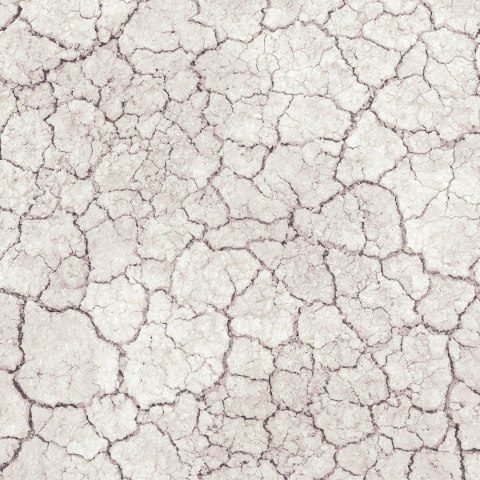 Terrario Great Sunland 1kg - biała glina do terrarium Terrario