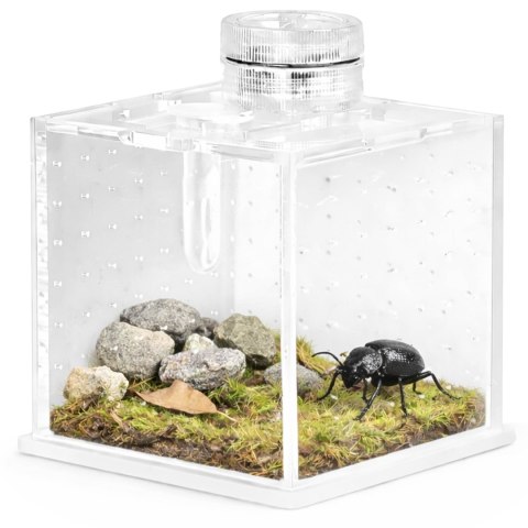 Terrario SpiderNook L - mini terrarium akrylowe z oświetleniem Terrario