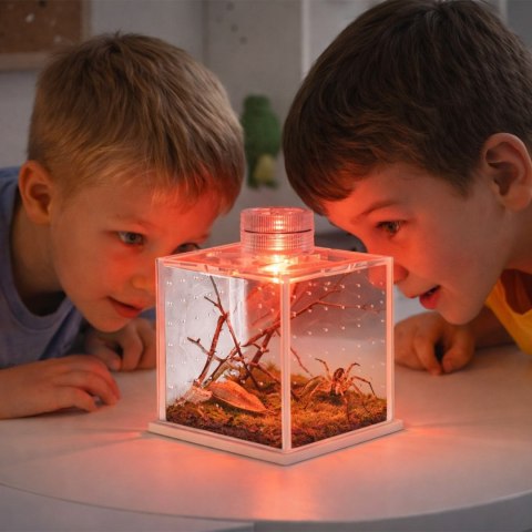 Terrario SpiderNook L - mini terrarium akrylowe z oświetleniem Terrario