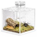Terrario SpiderNook L - mini terrarium akrylowe z oświetleniem Terrario