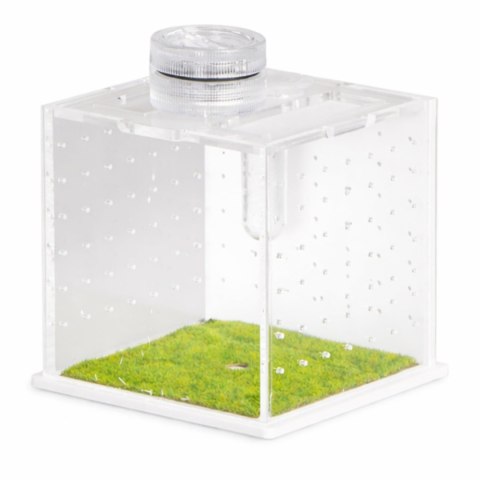 Terrario SpiderNook L - mini terrarium akrylowe z oświetleniem Terrario