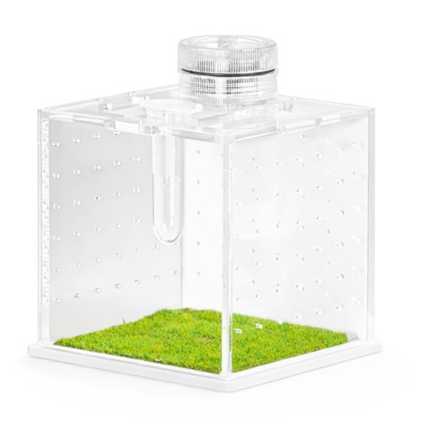 Terrario SpiderNook L - mini terrarium akrylowe z oświetleniem Terrario