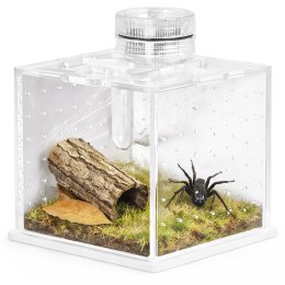 Terrario SpiderNook M - mini terrarium akrylowe z oświetleniem Terrario
