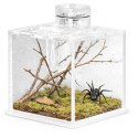 Terrario SpiderNook M - mini terrarium akrylowe z oświetleniem Terrario