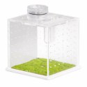 Terrario SpiderNook M - mini terrarium akrylowe z oświetleniem Terrario