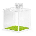 Terrario SpiderNook M - mini terrarium akrylowe z oświetleniem Terrario