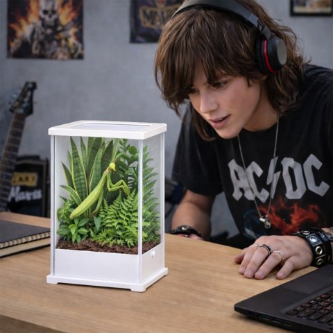 Terrario TerraLoom L - terrarium 12x10x20cm Terrario