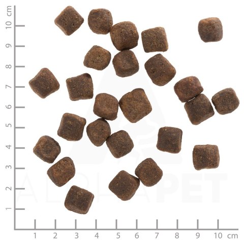 WOLFSBLUT Dark Forest fierce/sweet potatos 12,5kg WOLFSBLUT