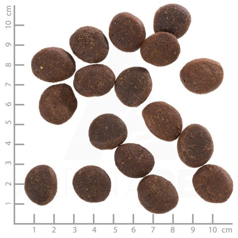 WOLFSBLUT Polar Night Adult reindeer/pumpkin 12,5kg WOLFSBLUT