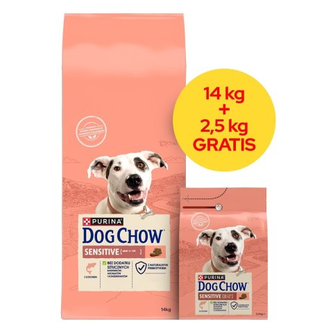 PURINA DOG CHOW SENSITIVE Łosoś 14+2,5kg PURINA NESTLE