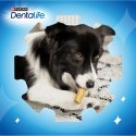 PURINA Dentalife Extra Mini - przekąska dentystyczna dla psa - 69 g PURINA NESTLE