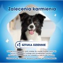 PURINA Dentalife Extra Mini - przekąska dentystyczna dla psa - 69 g PURINA NESTLE