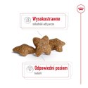 ROYAL CANIN SHN Mini Adult BF 8kg Royal Canin