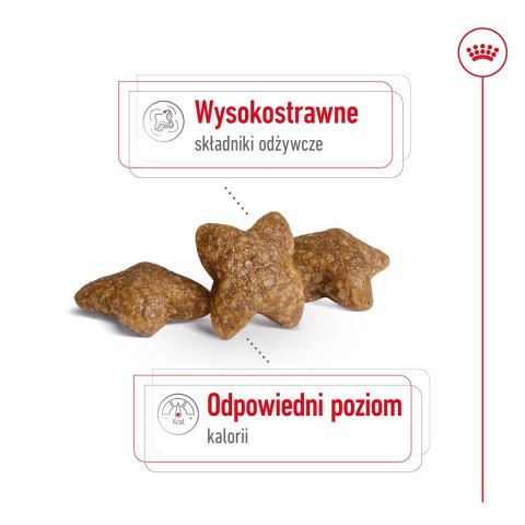 ROYAL CANIN SHN Mini Adult BF 8kg Royal Canin