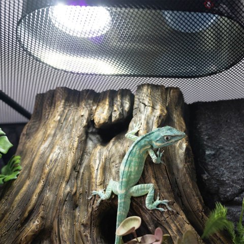 Repti-Zoo Desert and Tropical LED UVB - żarówka LED UVB do terrarium