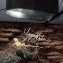 Repti-Zoo Desert and Tropical LED UVB - żarówka LED UVB do terrarium