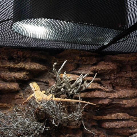 Repti-Zoo Desert and Tropical LED UVB - żarówka LED UVB do terrarium