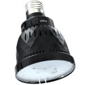 Repti-Zoo Desert and Tropical LED UVB - żarówka LED UVB do terrarium