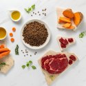VetExpert Raw Paleo Ultra Wołowina Mini Puppy 750g VetExpert