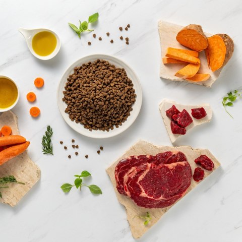 VetExpert Raw Paleo Ultra Wołowina Mini Puppy 750g VetExpert
