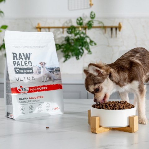 VetExpert Raw Paleo Ultra Wołowina Mini Puppy 750g VetExpert