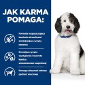 Hill's PD Prescription Diet Canine c/d Urinary Care 12kg