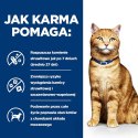 Hill's PD Prescription Diet Feline c/d Multicare 85g