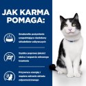 Hill's PD Prescription Diet Feline i/d 85g