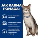 Hill's PD Prescription Diet Feline k/d Kidney Care Wołowina 85g