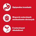 Pedigree Mokra Karma Dla Dorosłych Psów W Galaretce Mix Smaków (Z Wołowiną, Z Kurczakiem, Z Jagnięciną, Z Drobiem) 40x100g