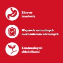 Pedigree Mokra Karma Dla Dorosłych Psów Z Kurczakiem I Warzywami W Galaretce 400g